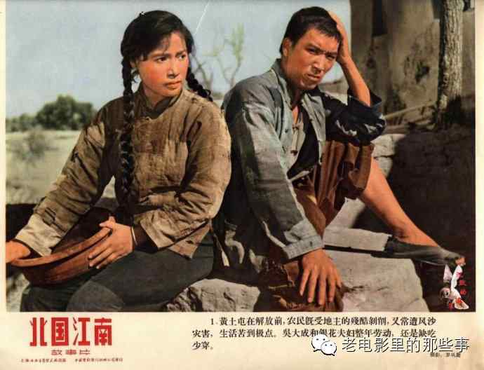 办理加州驾照